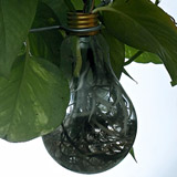 grow_lamp